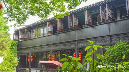 旅行Plog 風起蘆葦蕩，心動沙家浜